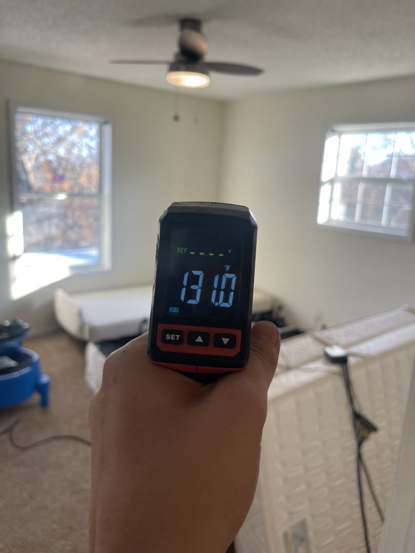 bed bug heat treatment in Nashville TN